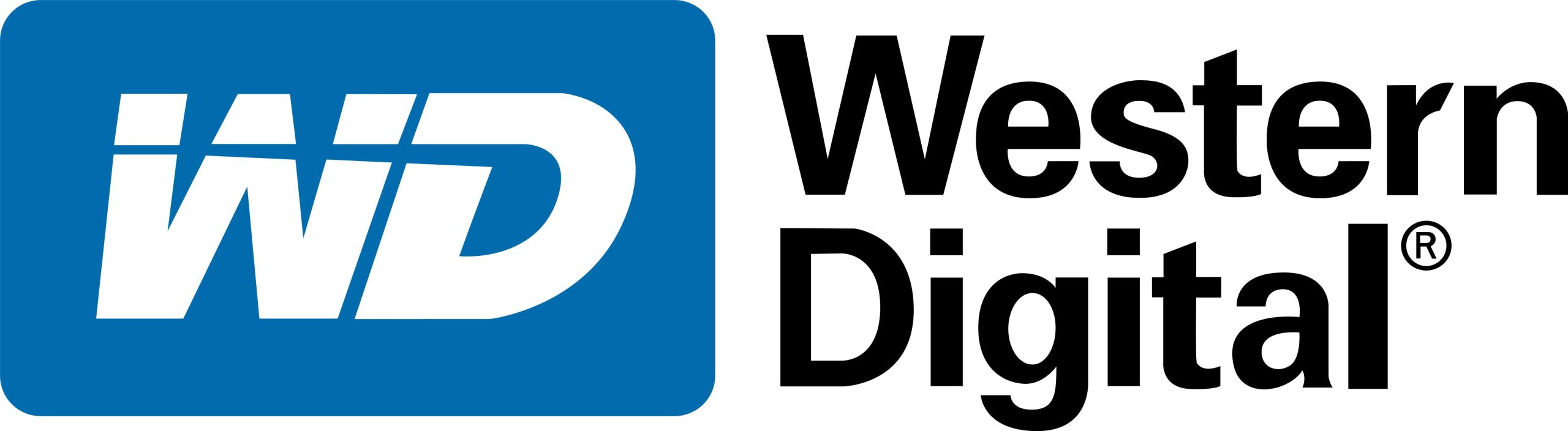 WD-scaled.jpeg